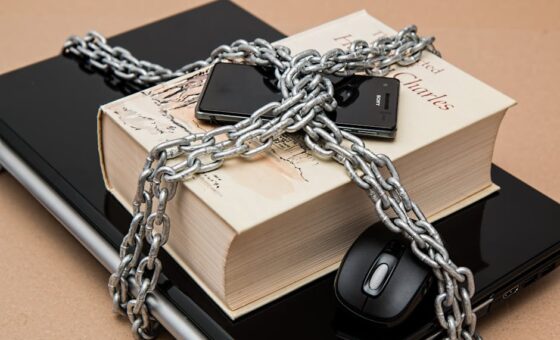 Nova Lei de Proteção